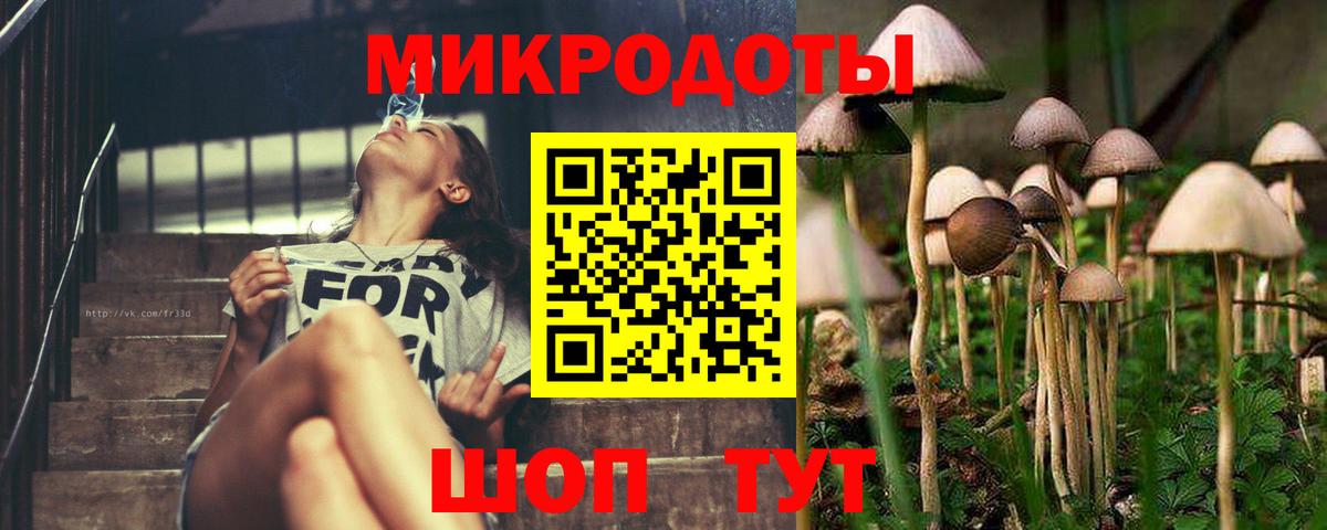 Псилоцибиновые грибы Psilocybe  Вход с VPN  Галлюциногенные грибы Cubensis  Дмитров 
